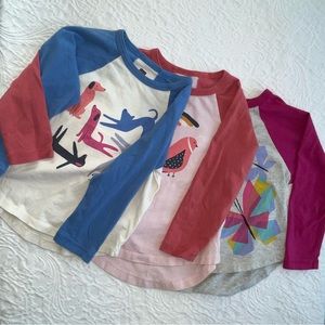 Tea Collection - Raglan Tee - Size 3